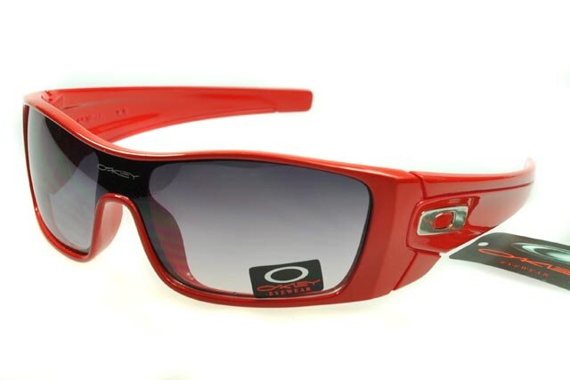Oakley Lifestyle Lunettes De Soleil Gris