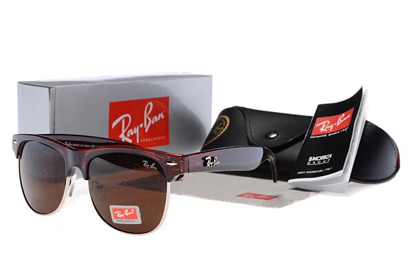 Ray Ban Wayfarer - 029